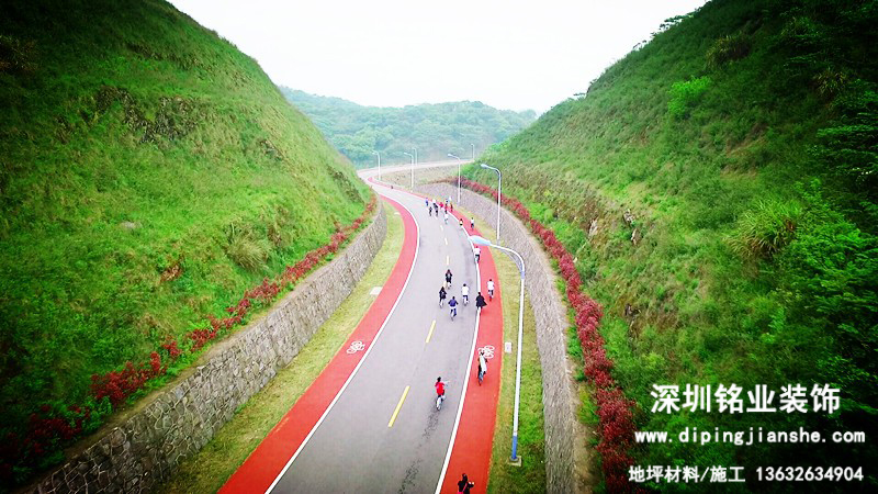 花開(kāi)最美路∣岱山彩色公路黃燕線 串起醉美“蓬萊”景觀